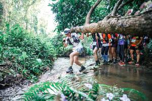 BIB: 
                            <button type="button" onclick="openModal(25466267)" class="btn btn-primary btn-sm float-right btn-popup" data-toggle="modal" data-target=".modal-high-quality">
                        <i class="fas fa-shopping-cart"></i> Add to Cart
                    </button>
                                            <button type="button" onclick="isThisMe(25466267, true)" class="btn btn-success btn-sm float-right btn-popup btn-isme hidden" data-toggle="tooltip" data-placement="bottom" title="นี่คือรูปของคุณใช่ไหม คลิกที่นี่เพื่อเอาเข้าอัลบั้ม">
                        <i class="fas fa-plus"></i> Add to album
                    </button>
                    <button type="button" onclick="isThisMe(25466267, false)" class="btn btn-warning btn-sm float-right btn-popup btn-isnotme hidden">
                        <i class="fas fa-ban"></i> Remove from album
                    </button>